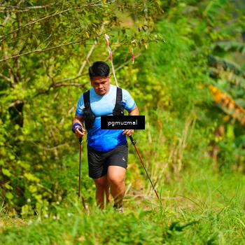 Runner Photo 5178188