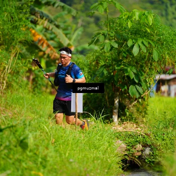 Runner Photo 5178199