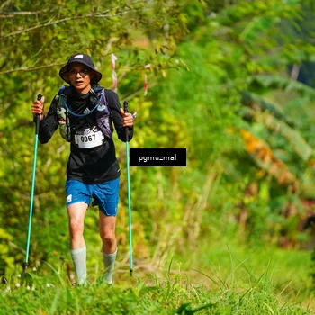 Runner Photo 5178230