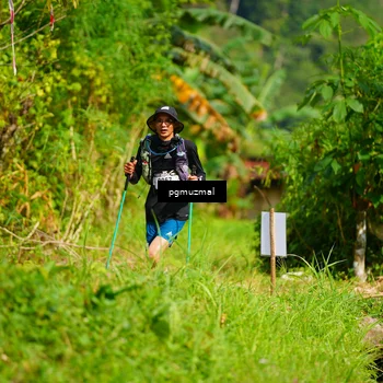 Runner Photo 5178244