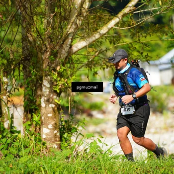 Runner Photo 5178333