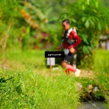 Runner Photo 5178352