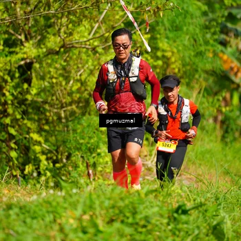 Runner Photo 5178360