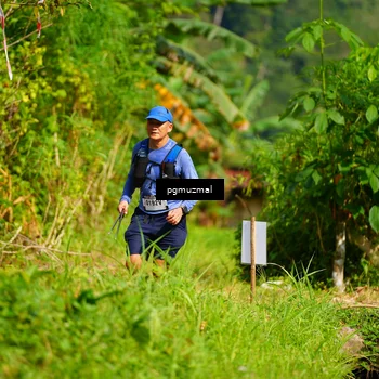 Runner Photo 5178361