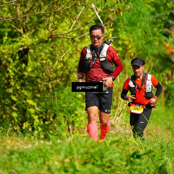 Runner Photo 5178371