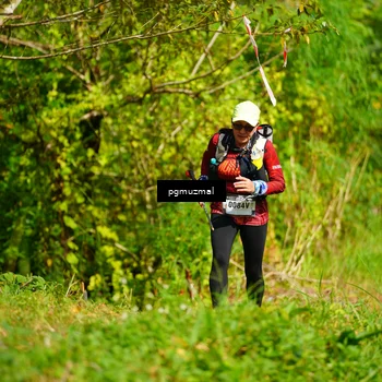 Runner Photo 5178391