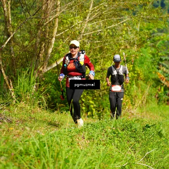 Runner Photo 5178414