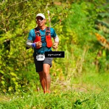 Runner Photo 5178442