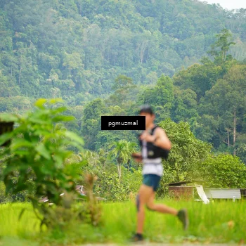 Runner Photo 5178726