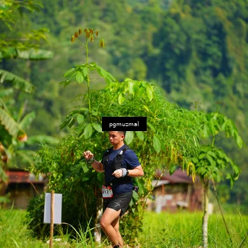 Runner Photo 5178795