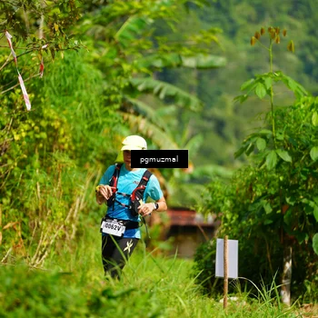 Runner Photo 5178834