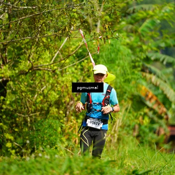 Runner Photo 5178843