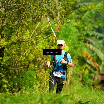Runner Photo 5178872