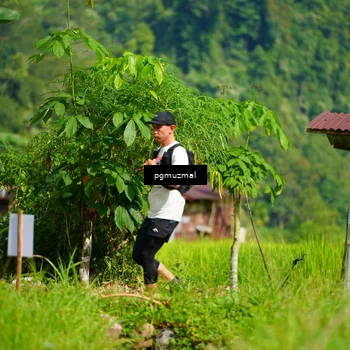 Runner Photo 5178881