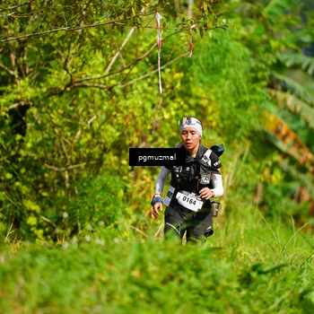 Runner Photo 5178893