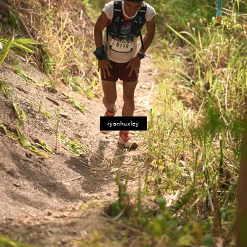 Runner Photo 5178901