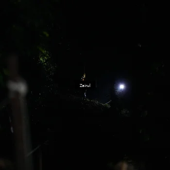 Runner Photo 5180069