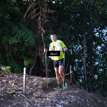 Runner Photo 5180260