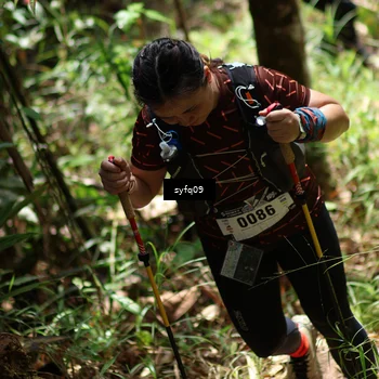 Runner Photo 5180379