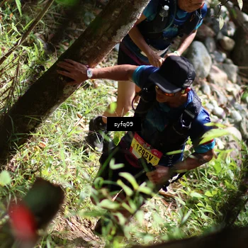 Runner Photo 5182141