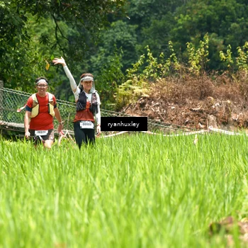 Runner Photo 5182508