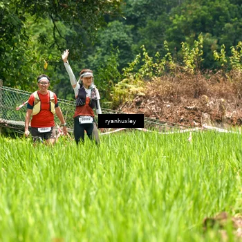 Runner Photo 5182514