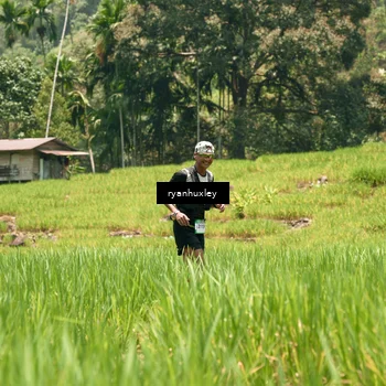 Runner Photo 5183134
