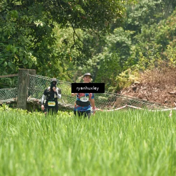 Runner Photo 5183136