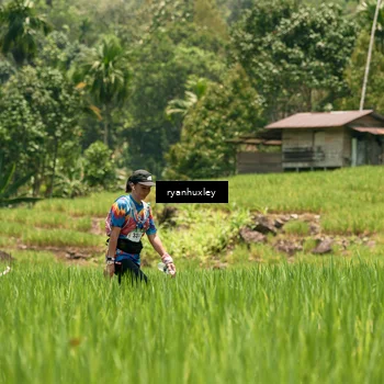 Runner Photo 5183176