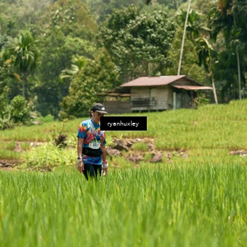 Runner Photo 5183181