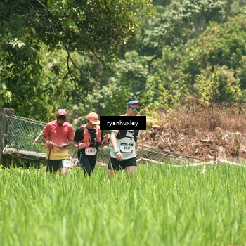 Runner Photo 5183258