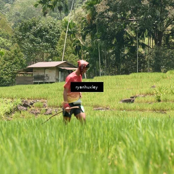 Runner Photo 5183293