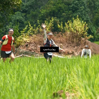 Runner Photo 5183342