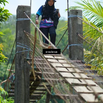 Runner Photo 5183371
