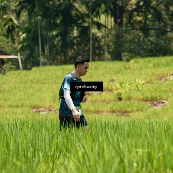 Runner Photo 5184191