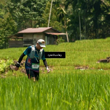 Runner Photo 5184237