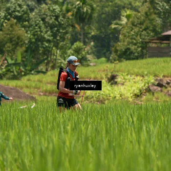 Runner Photo 5184321