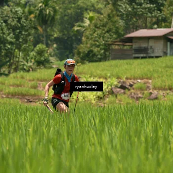 Runner Photo 5184337
