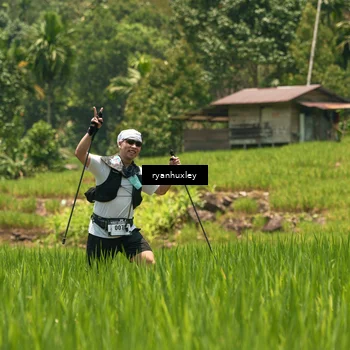 Runner Photo 5184451