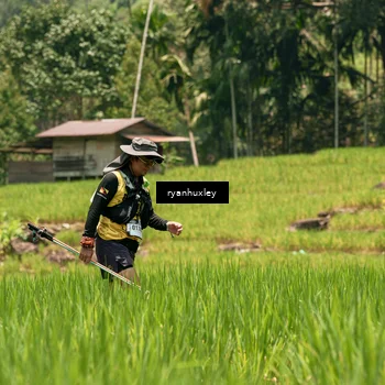 Runner Photo 5184787