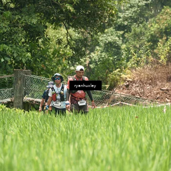 Runner Photo 5184844