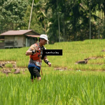Runner Photo 5184850