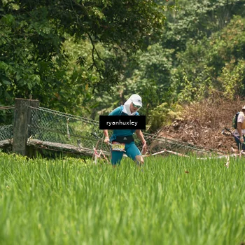 Runner Photo 5184916