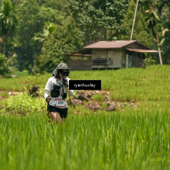 Runner Photo 5185044