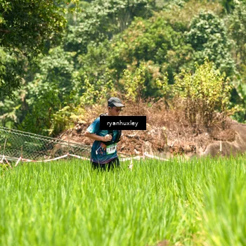 Runner Photo 5185081
