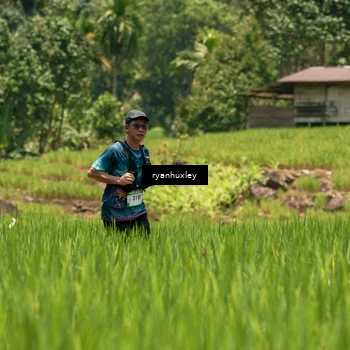 Runner Photo 5185084