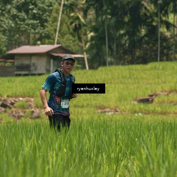 Runner Photo 5185105