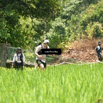Runner Photo 5185118