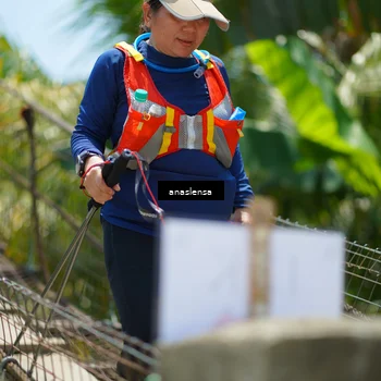 Runner Photo 5185182