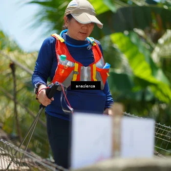 Runner Photo 5185183
